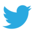 new-twitter-logo-vector-120